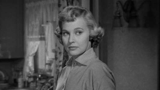 The Killer That Stalked New York - Backdrop