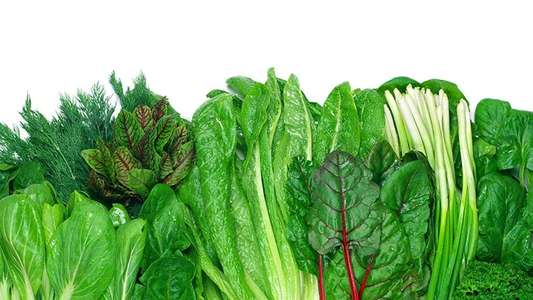 Foods That Cure Disease - Backdrop