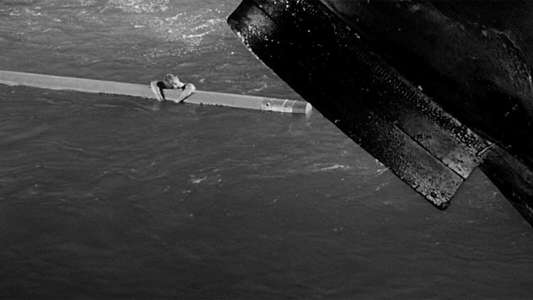 The Incredible Shrinking Man - Backdrop