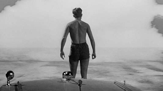 The Incredible Shrinking Man - Backdrop