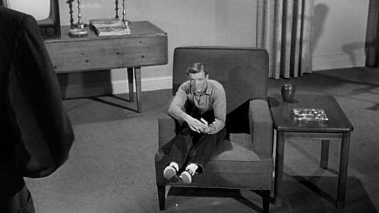 The Incredible Shrinking Man - Backdrop