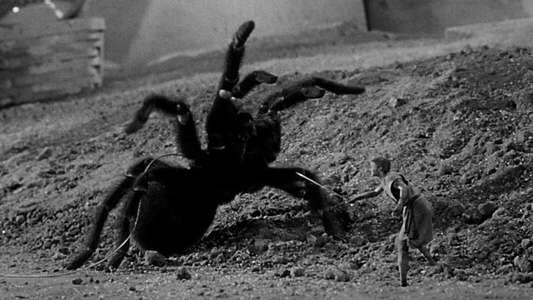 The Incredible Shrinking Man - Backdrop