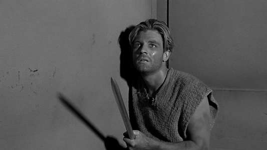 The Incredible Shrinking Man - Backdrop
