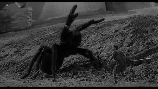 The Incredible Shrinking Man - Backdrop