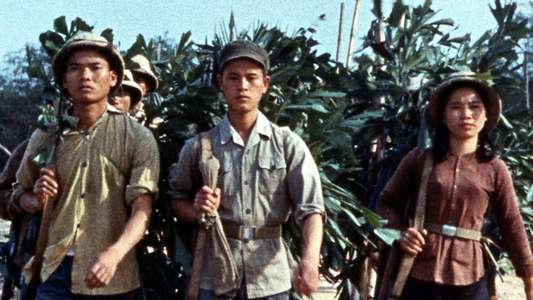 Far from Vietnam - Backdrops