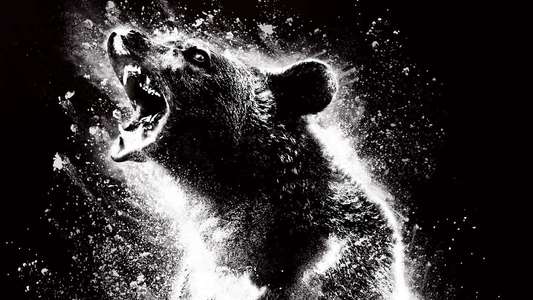 Cocaine Bear - Backdrop
