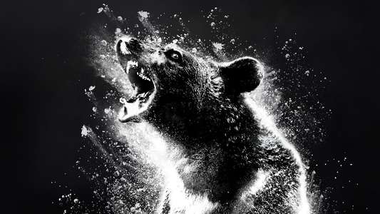 Cocaine Bear - Backdrop
