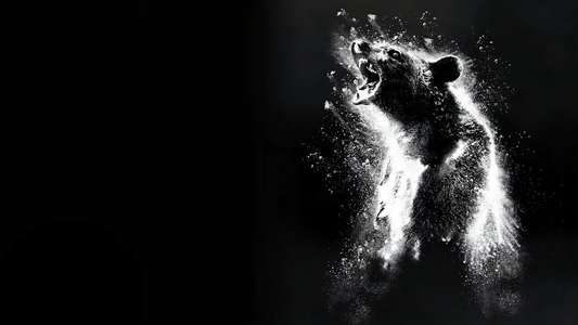 Cocaine Bear - Backdrop
