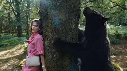 Cocaine Bear - Backdrop