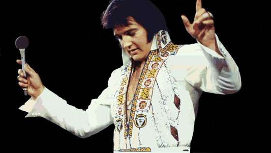 Elvis: That's the Way It Is - Backdrop