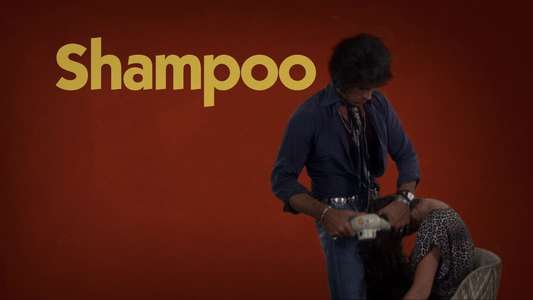 Shampoo - Backdrop