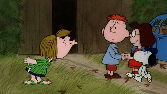 Bon Voyage  Charlie Brown (and Don't Come Back!) - Backdrop