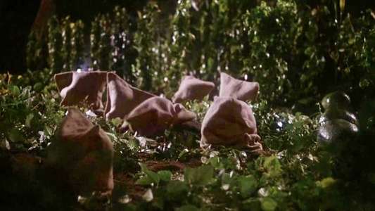 Motel Hell - Backdrop