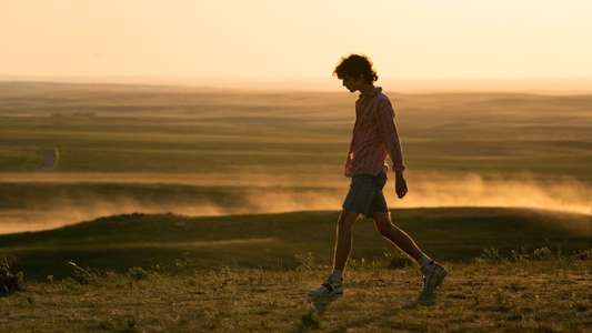 Bones and All - Backdrop