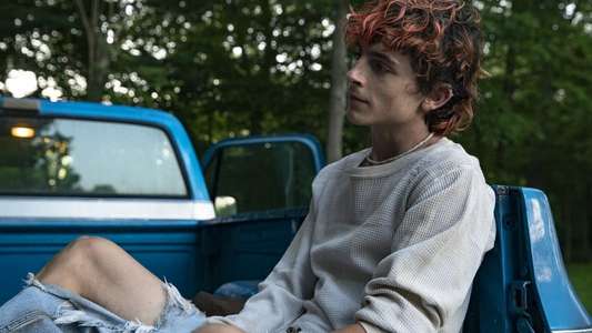 Bones and All - Backdrop