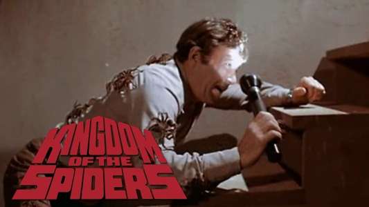 Kingdom of the Spiders - Backdrop