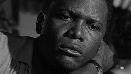 A Raisin in the Sun - Backdrop