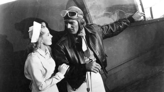 Flying Tigers - Backdrop