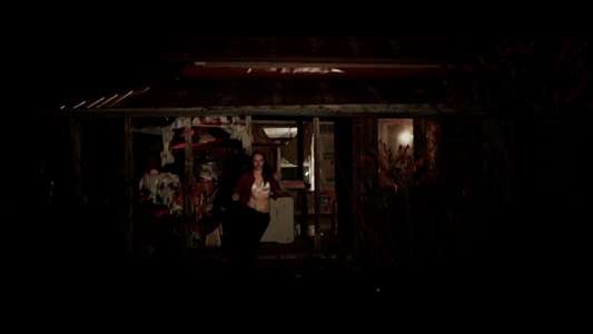 Horror and Hamsters - Backdrop