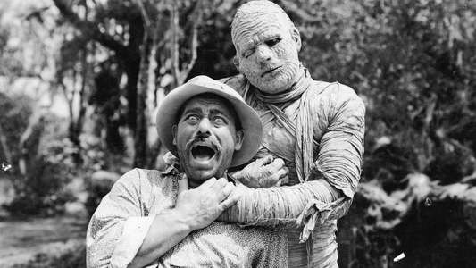 The Mummy's Tomb - Backdrop