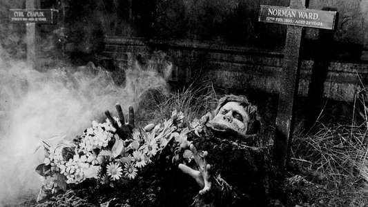 The Plague of the Zombies - Backdrop