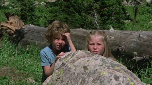 The Adventures of the Wilderness Family - Backdrop