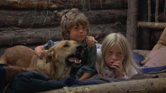 The Adventures of the Wilderness Family - Backdrop