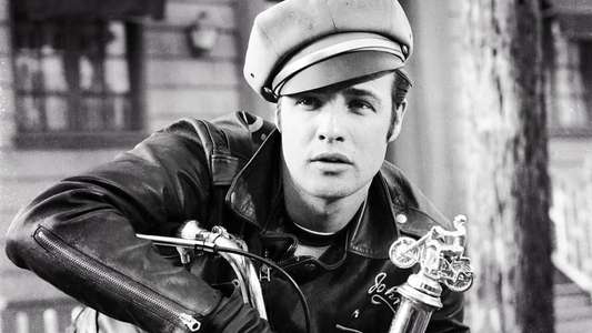 The Wild One - Backdrop