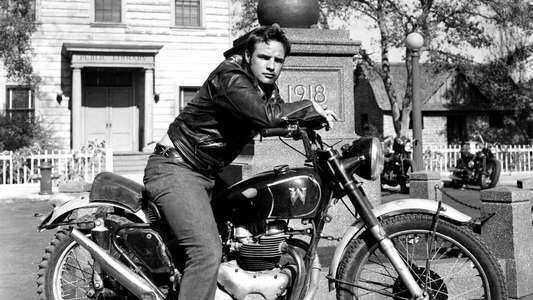 The Wild One - Backdrop