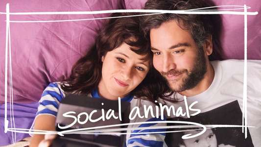 Social Animals - Backdrop