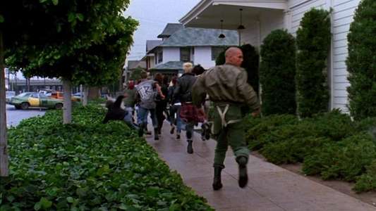 Suburbia - Backdrops