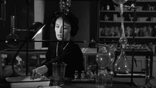 The Wasp Woman - Backdrop