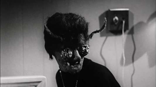 The Wasp Woman - Backdrop