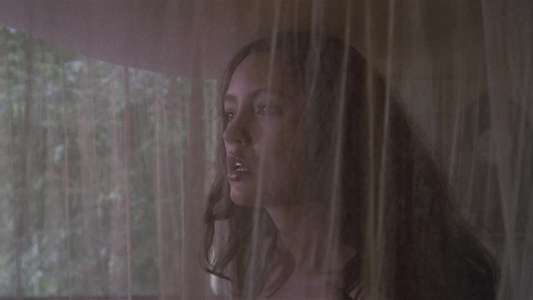 The Island of Dr. Moreau - Backdrop
