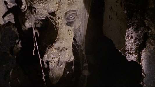 Dr. Terror's House of Horrors - Backdrop