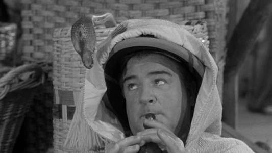 Abbott and Costello Meet the Mummy - Backdrop
