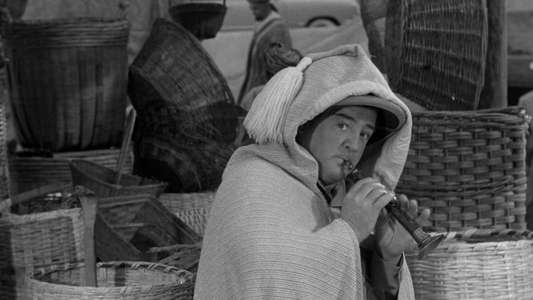 Abbott and Costello Meet the Mummy - Backdrop