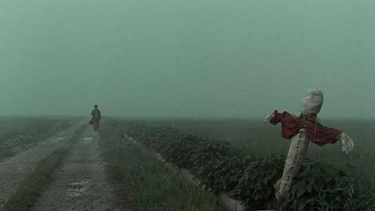 Memories of Murder - Backdrop