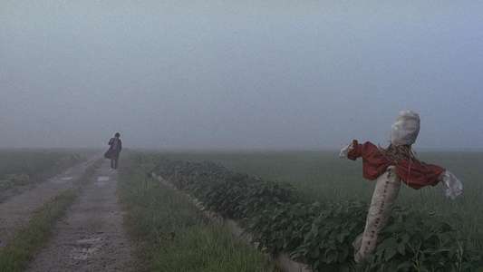 Memories of Murder - Backdrop