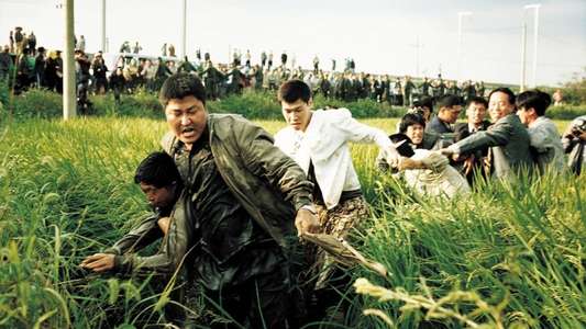 Memories of Murder - Backdrop