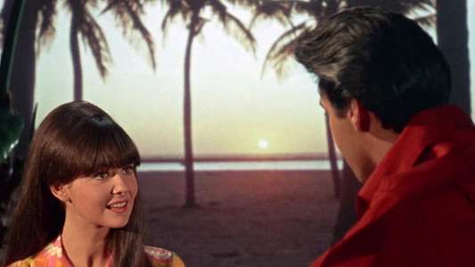 Clambake - Backdrop