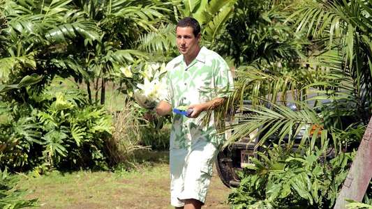 50 First Dates - Backdrop