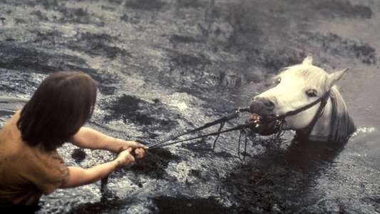 The NeverEnding Story - Backdrop