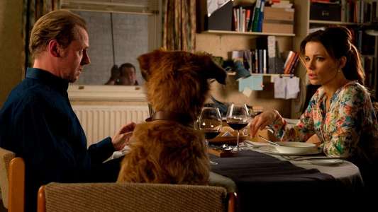 Absolutely Anything - Backdrop