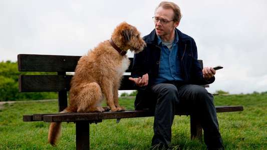 Absolutely Anything - Backdrop