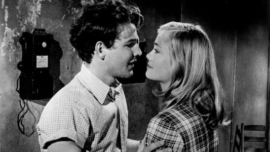 The Last Picture Show - Backdrop