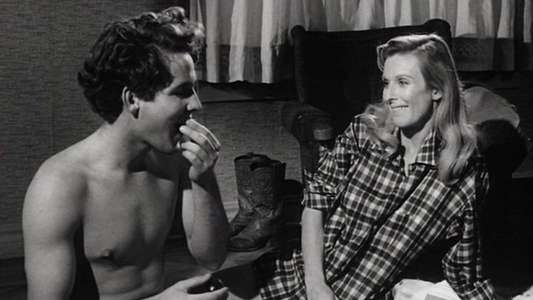 The Last Picture Show - Backdrop