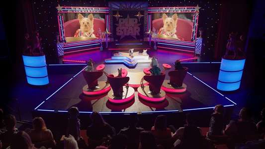 Pup Star: World Tour - Backdrop