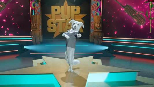 Pup Star: World Tour - Backdrop