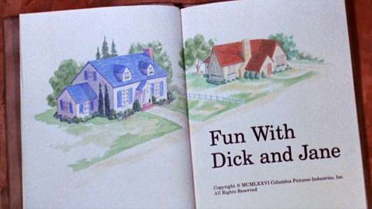 Fun with Dick and Jane - Backdrop